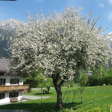 Bauernhof Neu-Endfelden, Guenter Widauer Vila Söll Exterior foto