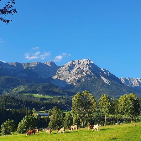 Bauernhof Neu-Endfelden, Guenter Widauer Vila Söll Exterior foto