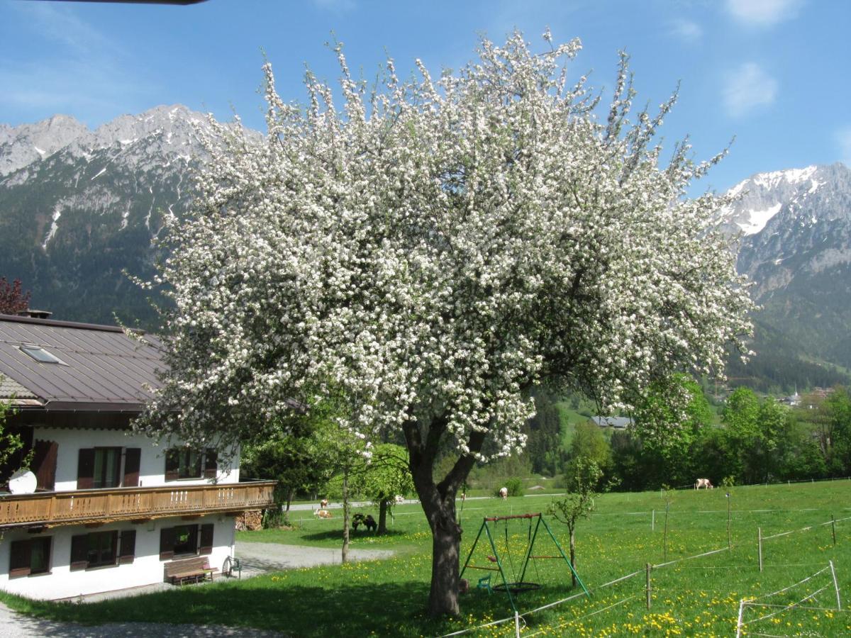 Bauernhof Neu-Endfelden, Guenter Widauer Vila Söll Exterior foto
