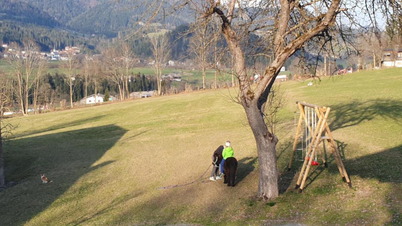 Bauernhof Neu-Endfelden, Guenter Widauer Vila Söll Exterior foto